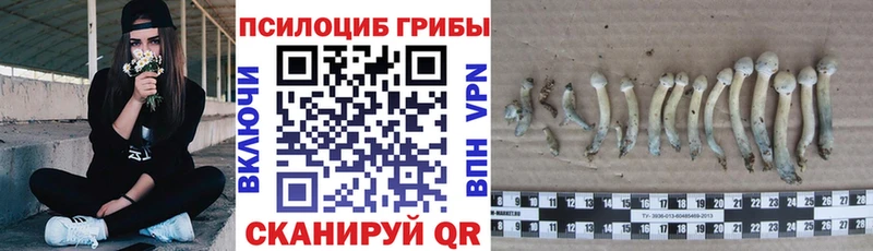 Галлюциногенные грибы мицелий  сколько стоит  Комсомольск-на-Амуре 